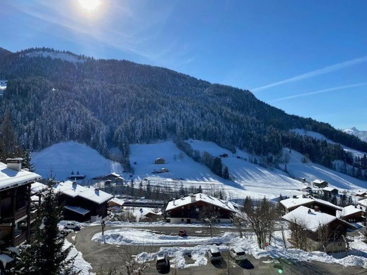 Studio Cosy 4 Personnes Avec Balcon Et Parking Au Grand Bornand - Fr-1-458-154 大博尔南 公寓